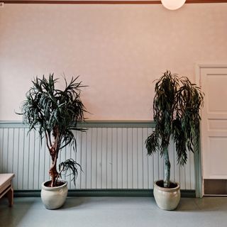 20. toukokuuta 2022 kello 8.05